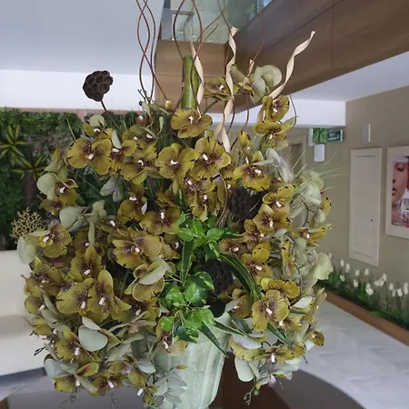 Ambassador Hotel&Spa- All Inclusive 4*