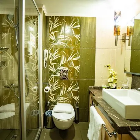 Ambasador Hotel Otel